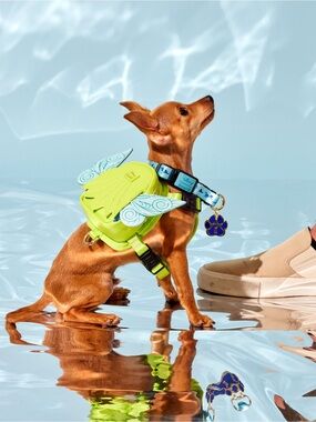 Loungefly Disney Peter Pan Tinker Bell Mini Backpack Dog Harness 💚🧚🏻 NWOT